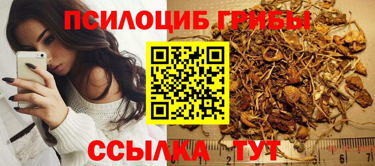 Миллерово  Псилоцибиновые грибы Psilocybine cubensis  Вход с VPN  Псилоцибиновые грибы Magic Shrooms 